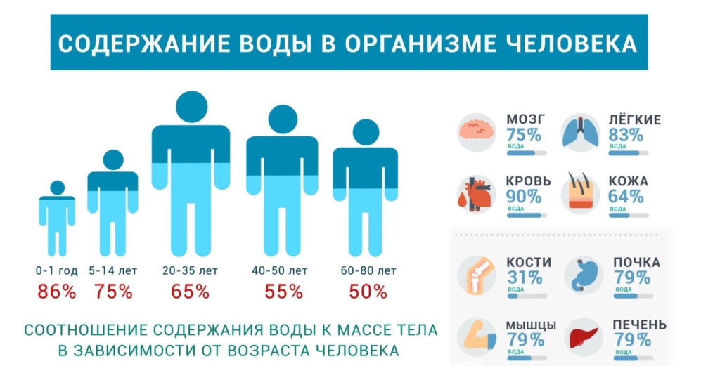 Соотношение воды с возрастом Соотношение воды с возрастом