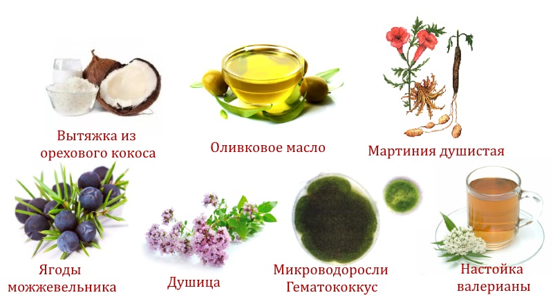 Состав бальзама Астин Сустастин Состав бальзама Астин Сустастин