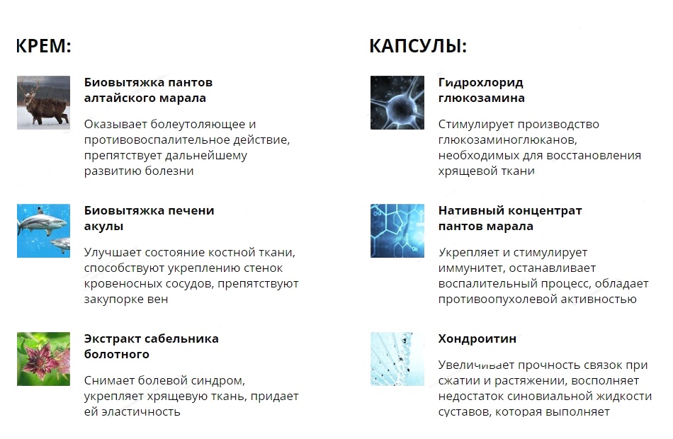Состав крема и капсул Hondrolock Состав крема и капсул Hondrolock