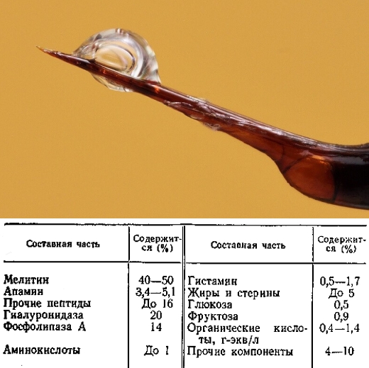Состав пчелиного яда Состав пчелиного яда