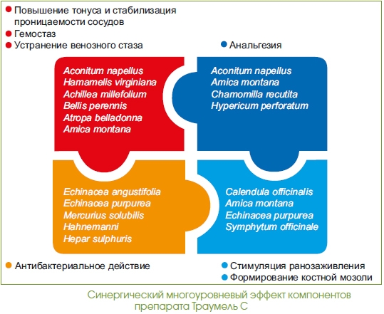 Состав препарата Траумель Состав препарата Траумель