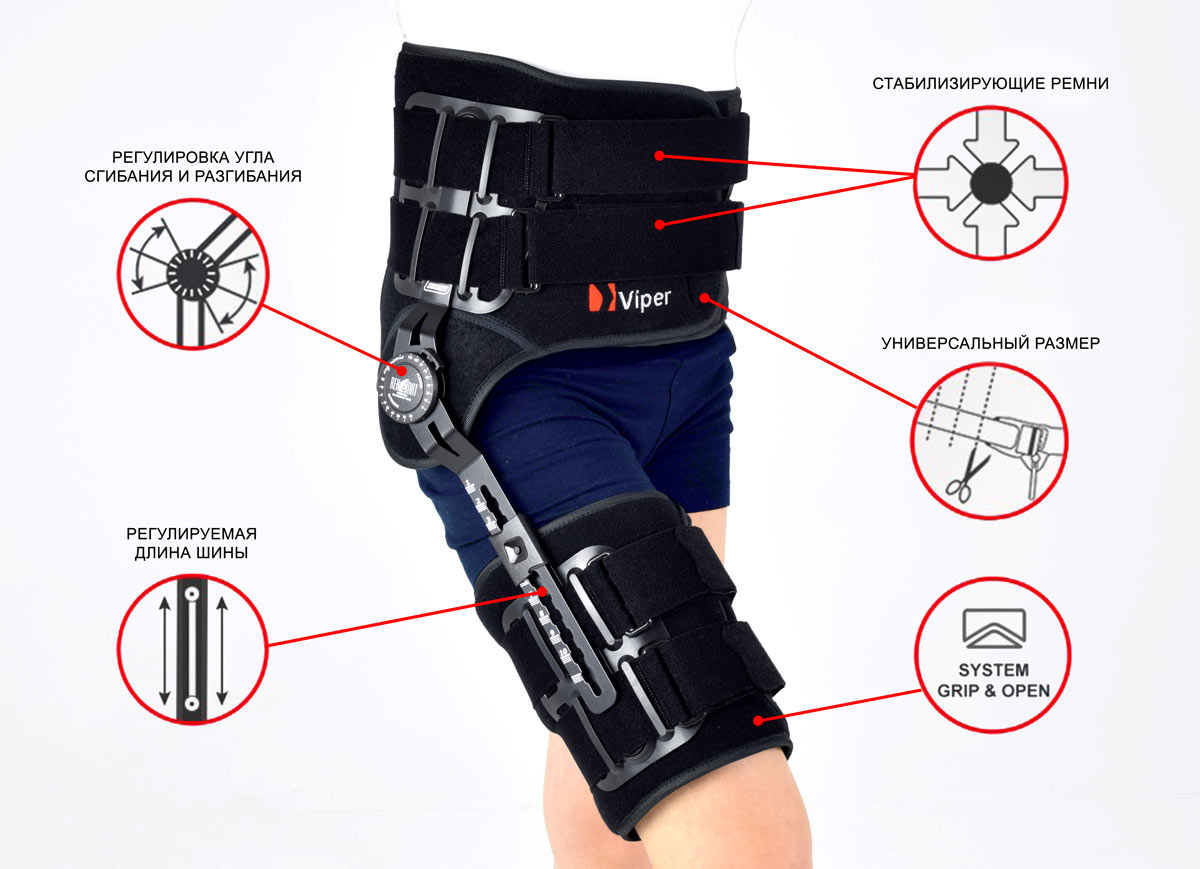 Пример строения деротационного бандажа Пример строения деротационного бандажа