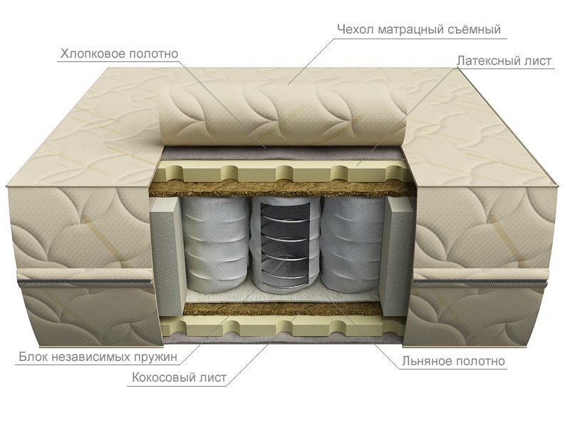 Строение ортопедического массажа Строение ортопедического массажа