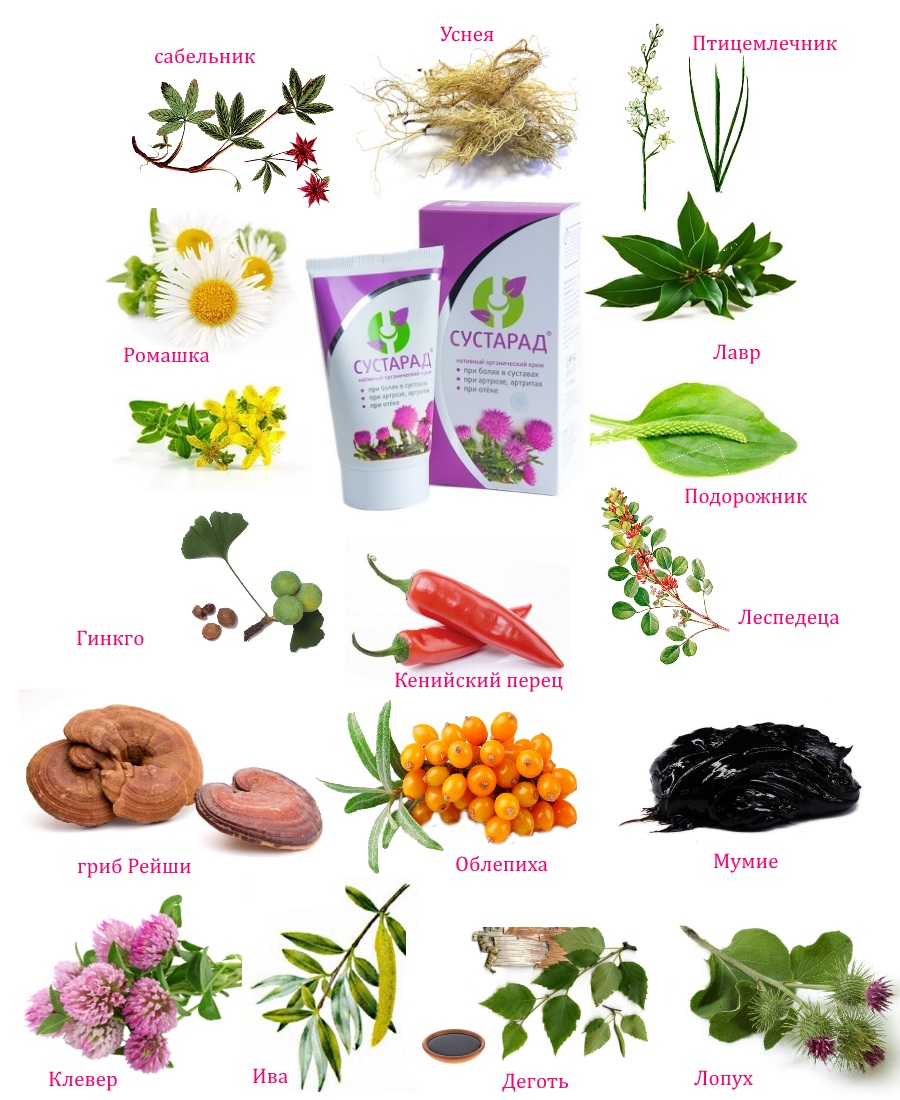 Cостав Сустарада Cостав Сустарада