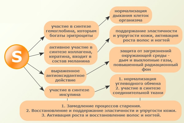Свойства метилсульфонилметана или серы Свойства метилсульфонилметана или серы