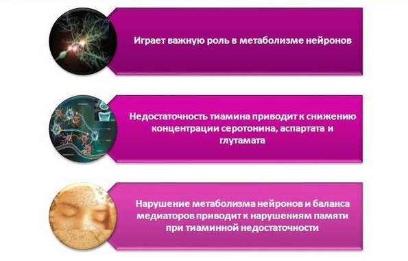 Свойства тиамина Свойства тиамина