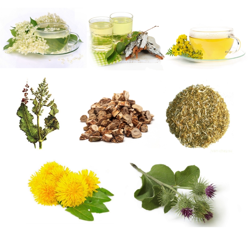 Травы и отвары при артрите Травы и отвары при артрите