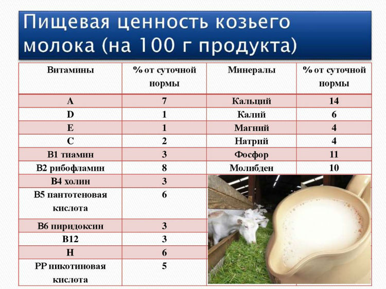 Пищевая ценность козьего молока Пищевая ценность козьего молока