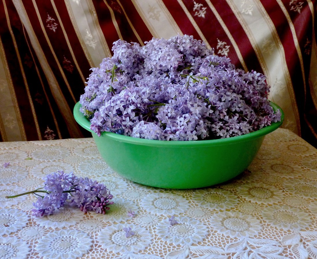 Заготовка сырья Заготовка сырья