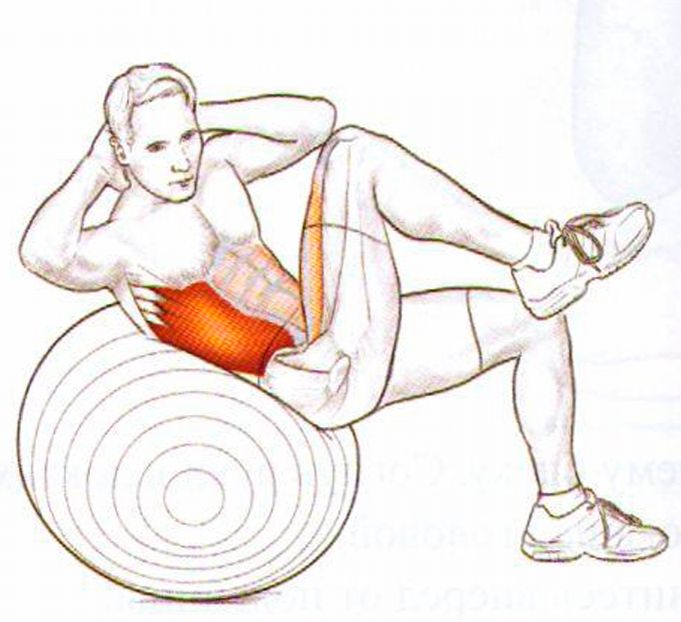 Укрепление мышц живота и поясницы Укрепление мышц живота и поясницы