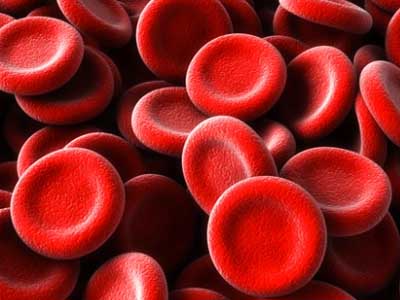 Приток крови Приток крови