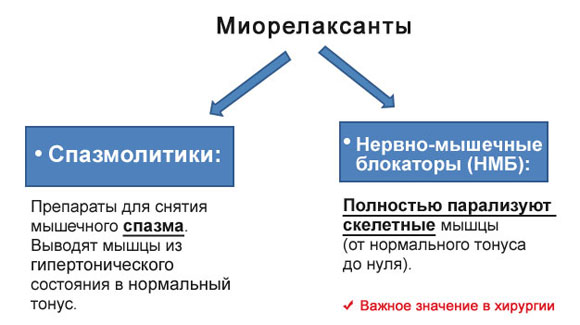 Виды миорелаксантов Виды миорелаксантов