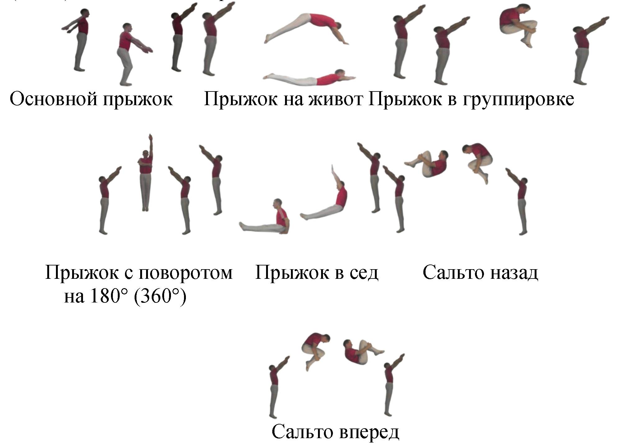 Виды прыжков на батуте Виды прыжков на батуте