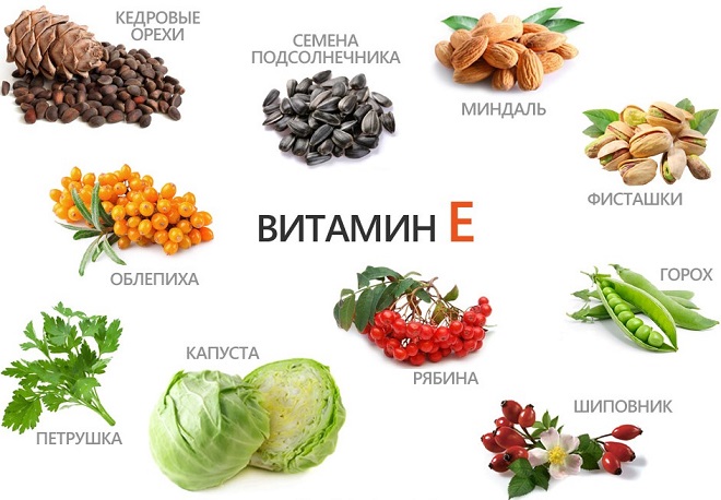 Продукты богатые витамином Е Продукты богатые витамином Е