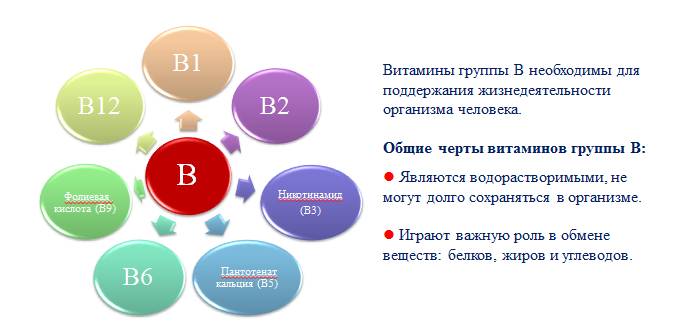 Витамины группы B Витамины группы B