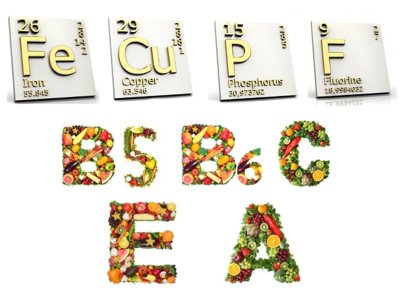 Витамины и микроэлементы для суставов Витамины и микроэлементы для суставов