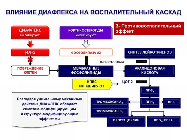 Влияние Диафлекса на воспаление