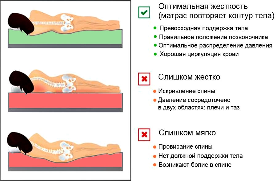 Оптимальная жесткость матраса Оптимальная жесткость матраса