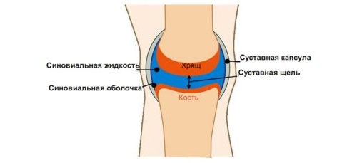 Восстановление синовиальной жидкости Восстановление синовиальной жидкости