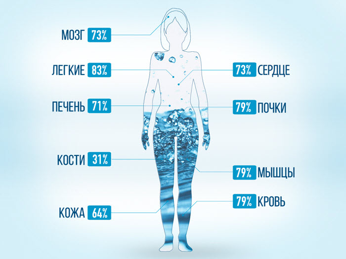 Восстановление водного баланса Восстановление водного баланса