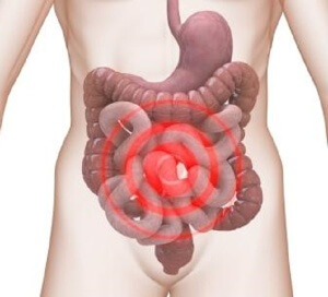 Всасывание веществ в кишечнике Всасывание веществ в кишечнике