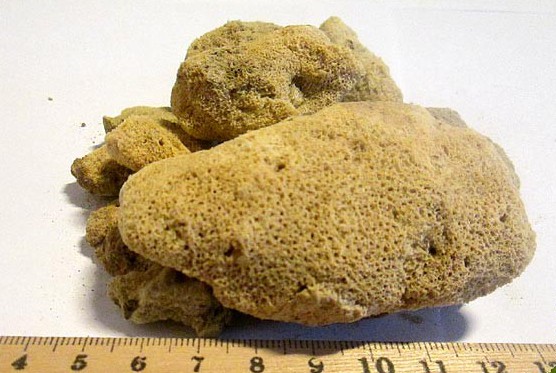 Высушенная бадяга Высушенная бадяга