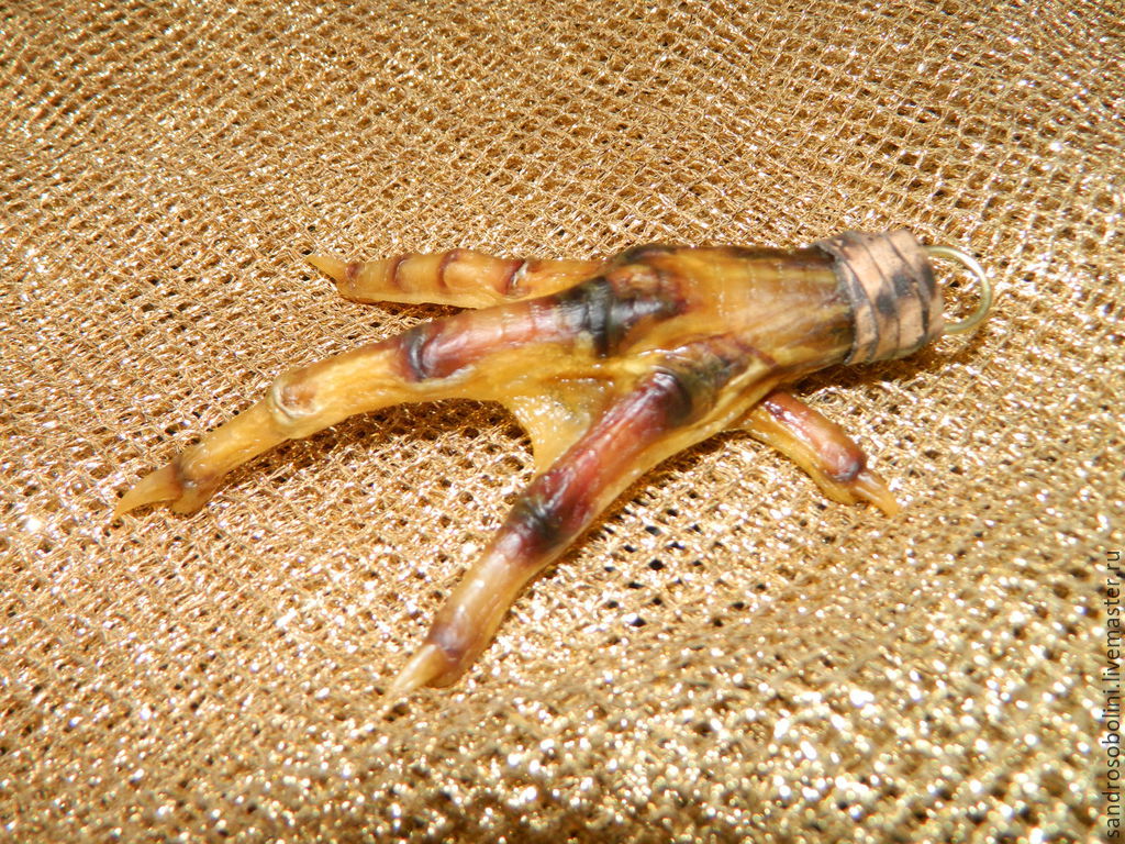 Заговор на куриную лапку Заговор на куриную лапку